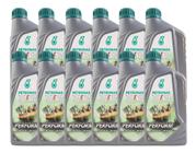 Kit 12 Petronas Selenia Perform 5w30 Sint