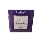 Kit 12 Sachê Perfumado Lavanda Grande de 25g Sortidos de Gaveta Armário Casa Cheirinho - Envio Já