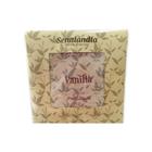 Kit 12 Sachê Perfumado Vanilla Grande de 25g Sortidos de Gaveta Armário Casa Cheirinho - Envio Já - Senalândia