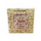 Kit 12 Sachê Perfumado Vanilla Grande de 25g Sortidos de Gaveta Armário Casa Cheirinho - Envio Já