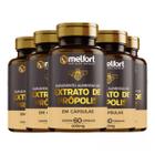 Kit 12x Atacado EXTRATO DE PRÓPOLIS 400 MG - 60 CÁPS A - Melfort