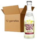 Kit 12X Drink Pronto Easy Booze Gin+Ginger 200Ml