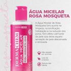 Kit 2 Águas Micelar Rosa Mosqueta Limpa Tonifica Hidrata Íons Dermachem 250ml