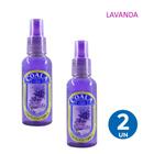 Kit 2 Aromatizante Odorizante Perfumado de Ambientes Home Spray Lavanda Coala 120ml