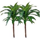 Kit 2 Arranjos Artificiais Árvore Dracena Sem Vaso Decoração