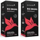 Kit 2 B12 Drops Gotas Metilcobalamina 20 ml Puravida