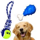 KIT 2 Brinquedos Pet interativos para Cães Osso de Nylon Mordedor puxador Bola Corda