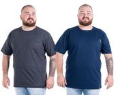 Kit 2 Camisetas Blusas Camisa Lisas Masculinas Plus Size G1 G2 G3 Flero