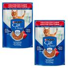Kit 2 Cat Chow Sachê para Gatos Adultos Sabor Carne 85 g