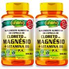 Kit 2 cloreto de magnésio pa + b6 120 caps 800 mg unilife