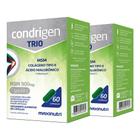 Kit 2 Condrigen Trio MSM Colágeno Tipo 2 HA e Vit.C 60 Caps