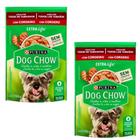 Kit 2 Dog Chow Sachê Para Cães Adultos Sabor Cordeiro 100 g