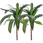 Kit 2 Dracena Artificial Variegata Dracaena Sem Vaso Decoração - Flor de Mentirinha