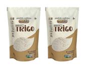 Kit 2 Farinha De Trigo Integral Vegana Orgânica Ecobio 800g