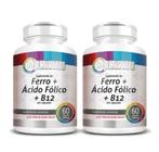 Kit 2 Ferro Ácido Fólico E Vitamina B12 60 Capsulas 500Mg