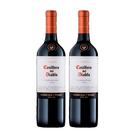 Kit 2 Garrafas Vinho Casillero Del Diablo Carmenere 750Ml