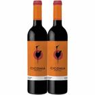 Kit 2 Garrafas Vinho Tinto Ciconia Alentejo 750ml