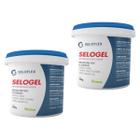 Kit 2 Impermeabilizante Incolor Resina Protetora Laje Telhado Piso Cimento Concreto Parede Selogel 900g Sel - Seloflex