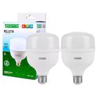 Kit 2 Lâmpada High Led 30w Alta Potência 6500k Branco Frio - Taschibra