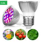 kIT 2 Lâmpada Led 18w Grow 1800lumens Acelera Crescimento Plantas Temperos Ervas Estufa Grow Lights