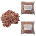 Kit 2 Musgos Sphagnum 5 Litros Substrato P/ Plantas Orquídea