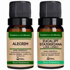 Kit 2 Óleos Essenciais 10ml - Alecrim E Eucalipto