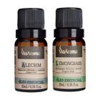 Kit 2 Oleos Essenciais Aromaterapia - Lemongrass e Alecrim - Via Aroma