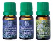 Kit 2 Óleos Essenciais De Lavanda + 1 Alecrim 10ml