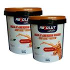 Kit 2 Pasta de Amendoim Absolut Nutrition Brownie 500g