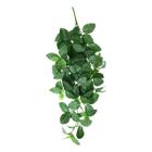 Kit 2 Pendente Fitônia 75cm Planta Artificial Folhagem - La Caza Store