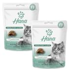 Kit 2 Petisco Hana Catnip Gato Petisco Adulto 60g