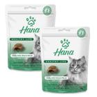 Kit 2 Petisco Hana Pele e Pelo Gato Petisco Adulto 60g