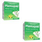 Kit 2 Planta Gold Psyllium 10 Sachês - Arte Nativa