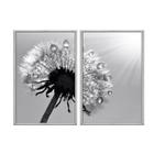 Kit 2 quadros decorativos 60x80cm canvas dente de leao preto e branco flnt015k