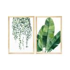 Kit 2 Quadros Decorativos Folhagens Natureza Plantas Verde