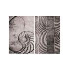 Kit 2 Quadros Tela Canvas Fibonacci Gravura Concha Anéis