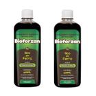 Kit 2 Suplemento Rico Em Ferro Bioforzan 400ml - Arte Nativa