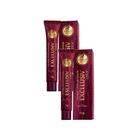 Kit 2 Tintura Creme Haskell Excllusiv Color Castanho Claro 5.0 50g