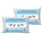kit 2 Travesseiro Pluma de Ganso Cervical Confortável AntialérgicoJacquard