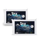 Kit 2 Travesseiros Nasa Sky Viscoelástico - produtoys