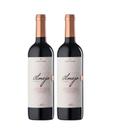 Kit 2 Un Vinho Família Bebber Almejo Tannat 750 ml