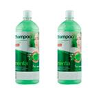 Kit 2 Und Shampoo Fattore Profissional Menta 1,03l