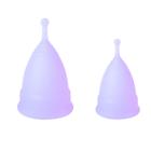 Kit 2 Unidades Coletor Menstrual em Silicone Roxo