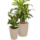 Kit 2 Vaso De Polietileno Planta Decoração Jardim Flor CD60