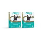 Kit 2 Vermífugo Canex Giárdia Cães 10kg 4 Comprimidos Ceva