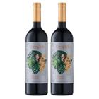 Kit 2 Vinho Sem Álcool Despido Tinto Suave - 750ml Nacional