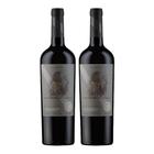 Kit 2 Vinhos Ramirana Reserva Cabernet Sauvignon Carmenère Tinto Chile 750ml