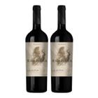 Kit 2 Vinhos Ramirana Reserva Carménère Tinto Chile 750ml