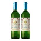 Kit 2 Vinhos Santa Villa Único Moscato Branco Chile 750ml - Viña de Aguirre