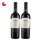 Kit 2 Vinhos Ventisquero Queulat Gran Reserva Syrah Tinto Chile 750ml